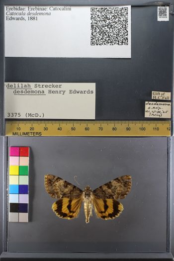 Media type: image;   Entomology 749318